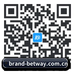 iOS 苹果版 二维码